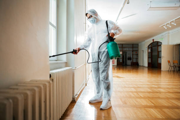 Best Pest Prevention Services  in Springfield, FL